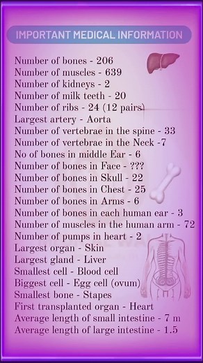 Essential Radiology Images: Medical Information for Learning