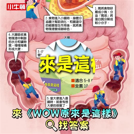 《WOW原來是這樣 》✨2026馬上省回饋價1309元📢下殺5折👉https://reurl.cc/yA22mq，榮獲第44次中小學生讀物選介《WOW原來是這樣 》讓孩子動動腦再解答! 💡好奇的孩子總有問不完的為什麼❓ 💡一定要馬上給答案嗎❓ 小牛頓👍強棒得獎書《WOW原來是這樣 》 第一套激發孩子思考的科學啟蒙書 化被動為主動💪學習效果💯 ✨掃書中QR CODE也可線上聽 💩大便為什麼是咖啡色的？ 🚄高鐵車頭為什麼是尖的？ 🌈為什麼雨後會有彩虹 ？ 👀像穿盔甲的獨角仙有骨頭嗎？ 不直接給孩子答案 🧠以腦洞大開的選項引導孩子思考 發問▶思考▶理解 培養科學思考能力👍👍 全套10冊10大孩子喜愛主題 ✅訓練自主思考能力 ✅強化科學探索過程 ✅手繪精細插畫 ✅大開本22.6*24公分，每冊56頁 ✅大字，附注音 ✅130個知識點 ✅260幅滿版精美插畫 🚫定價2500元 🔥🔥馬上省回饋價1309元 👉https://reurl.cc/yA22mq | 小牛頓