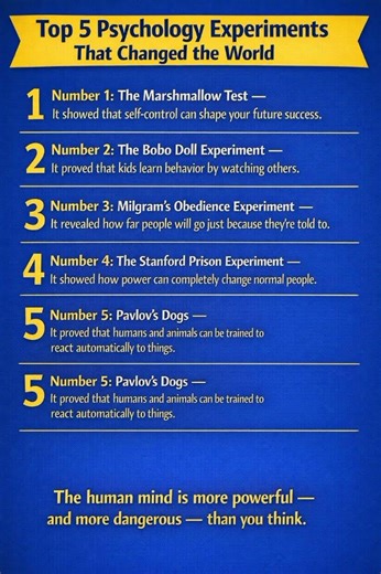 Top 5 Psychology Experiments That Changed The World