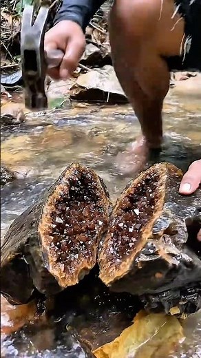Dark Brown Amethyst Found in a Deep Jungle River 🤎 Natural Crystal Formation