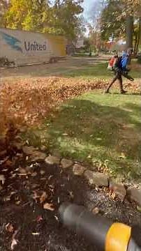 Echo pb 9010 vs. stihl br 800 which blower do you think is best for leaf removal #lawncare #echo