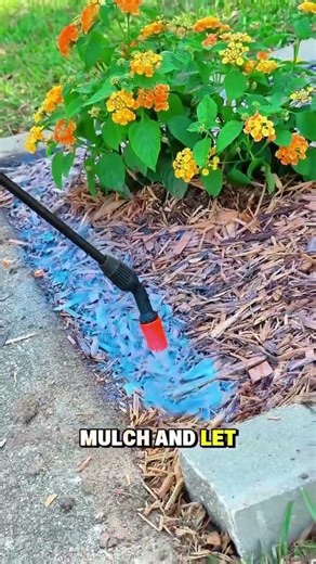 Have you ever heard of Lockscape?