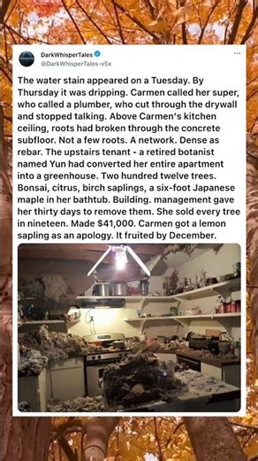 CEILING LEAK REVEALS UPSTAIRS NEIGHBOR HAS BEEN GROWING A FOREST