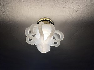 Octopus Ceiling Light Cover W/ Bright LED Light - Etsy