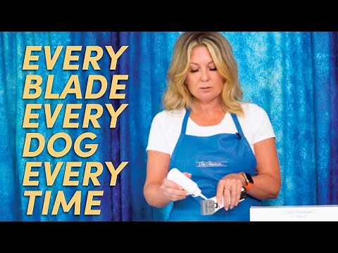 How to Maintain Your Clipper Blades | Dog Grooming & Handling Equipment Series