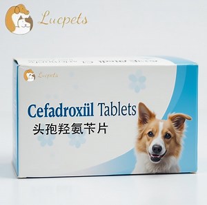 [Hot Item] Cefadroxil Tablets & Anti-Inflammatory Drugs, Respiratory Tract Infections, Urinary Tract Infections