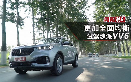 更全面更实用 闫闯试驾WEY VV6