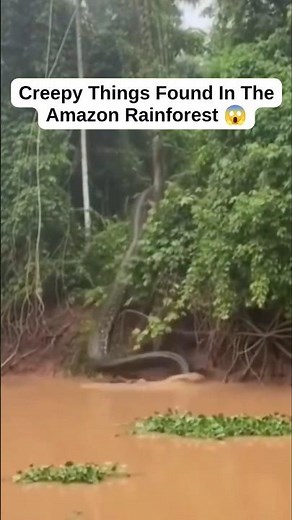 Creepy Things Found In The Amazon Rainforest 😱 #shorts #unrealsecrets #animals #amazonrainforest