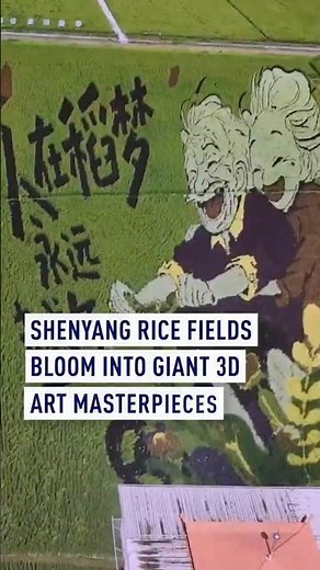 Shenyang Rice Fields Bloom Into Giant 3D Art Masterpieces