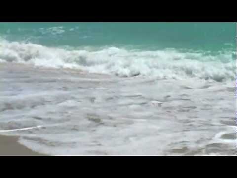 Möwen am Meer mit Wellengeräuschen