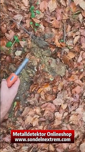 🪙 Year of birth 1860 🪙 #metaldetector #treasuresearch #metaldetecting #treasurehunt