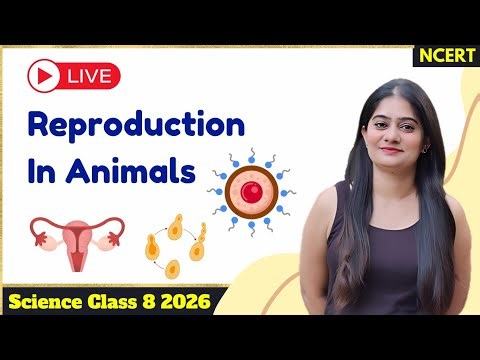 LIVE Revison | Reproduction in Animals – Class 8 Science | Live Concept Clarity Session