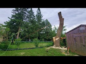 Dropping the Leaning Peg with the Maasdam and Fiddle Block - Storm Damaged Maple Day 2 Part 2