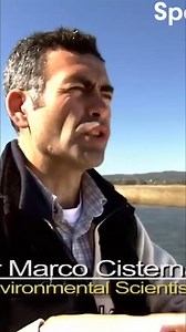 The 1960 earthquake in Valdivia caused significant damage. The ground dropped, and tides now cover the land, impacting the economy as people lost valuable soil. The disaster's effects will be felt for generations to come. Have you ever experienced a natural disaster? #Valdivia #earthquake #disaster #economy #generations | Spark