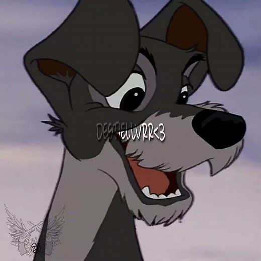 Lady and The Tramp being Legendary Lovers #edit #disney