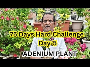 Adenium plant care and Fertilizer