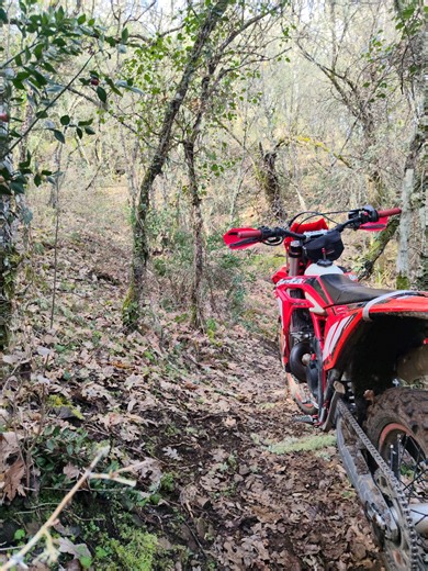 Rev Up Your Enduro Experience with Beta Xtrainer 300