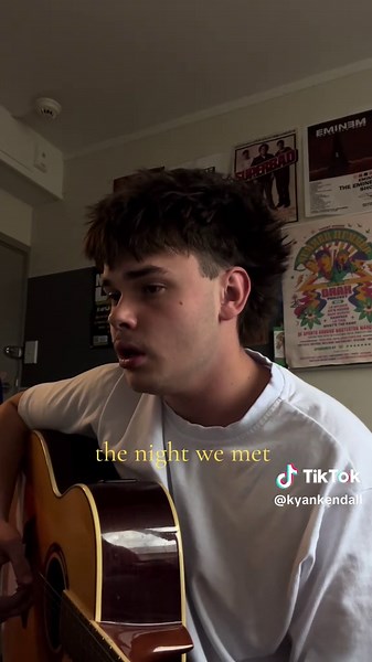 The Night We Met Cover by Lord Huron