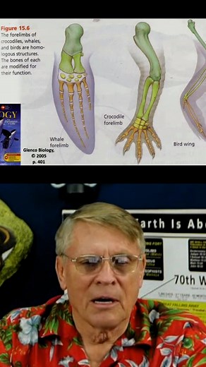1.1K reactions · 92 shares | Biology textbooks teach homology as evolution evidence. Dolphin flipper, bat wing, human arm… similar? The textbooks are lying. #Evolution #Biology #Science #Homology #Education #Debate | Kent Hovind | Facebook