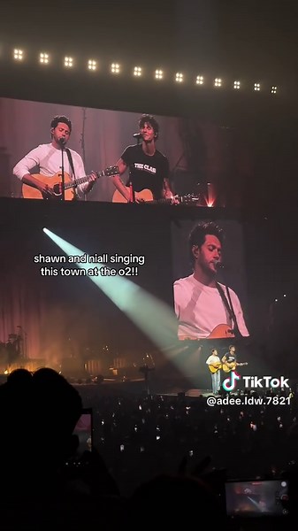Shawn Mendes and Niall Horan's Heartfelt Concert Moment