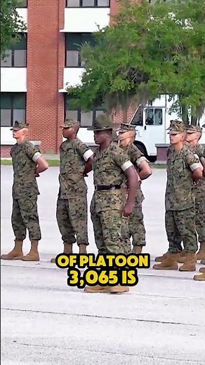 Family Day: The Powerful Introduction of Marine Drill Instructors