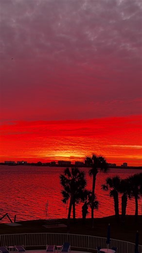 Good morning Florida 🔥 #floridalife #sunrise #florida #godisgood #nature