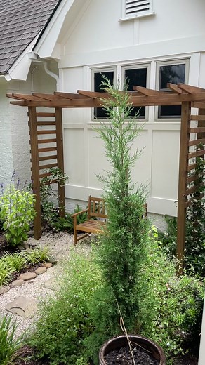 Gardening Tips for Spring: Love Your Garden with Eva Lovia