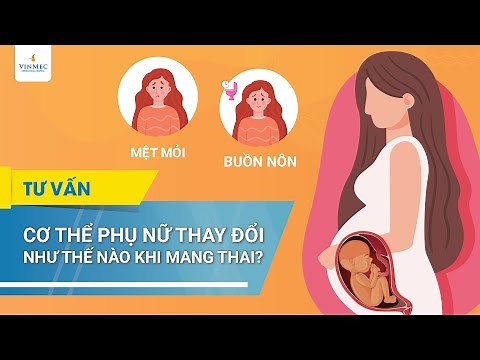 How does a woman's body change during pregnancy?