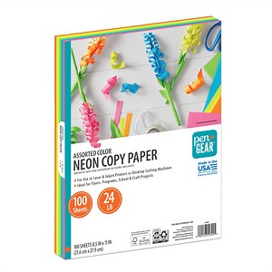 Pen Gear Assorted Neon Copy Paper, 8.5" x 11", 24 lb, 100 Sheets