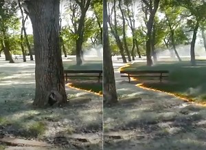 Your Eyes Aren't Playing Tricks, This Poplar Fluff Burning in Spain is a Real Phenomenon