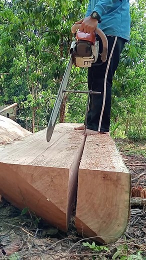 บังซันไม้เล็ก บน TikTok