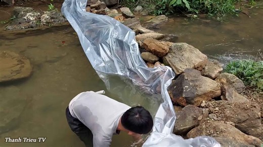 From stream to pond: my off-grid adventure