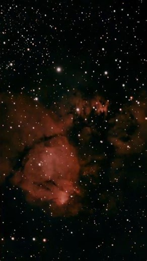 Something Fishy Going On — How IC 1795 Was Captured