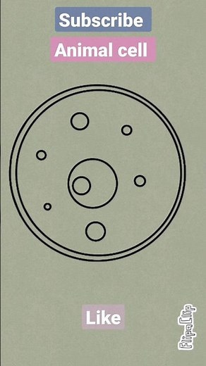 Drawing animal cell structure |labelling technique