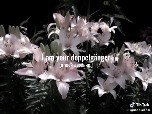 Stalker's Tango — Autoheart #песня #текстпесни #lirycs #music #recommendations #autoheart