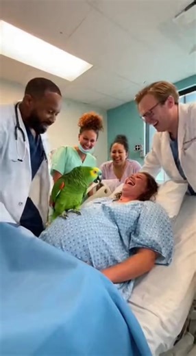 Crazy Parrot Tv on Reels