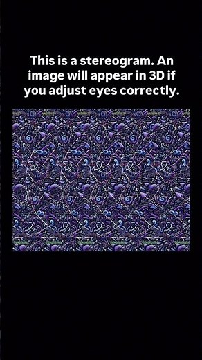 A 3D image in Flat 2D photo #magiceye #stereogram