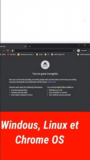 comment se mettre en navigation privée sur pc?