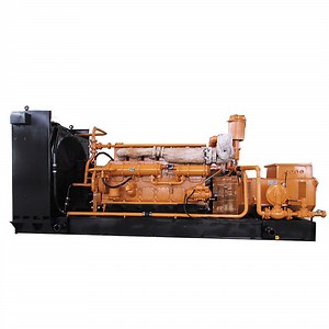 [Hot Item] Best Price Siemens Natural Gas Standby Generator