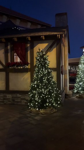 88 reactions · 19 shares | Get ready for some holiday magic!...