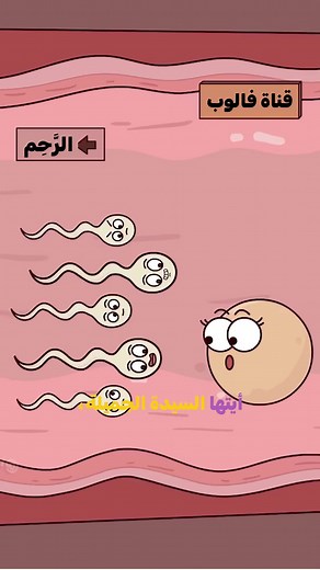 لماذا يؤثر نمط حياة الأب على الحمل؟ 👨‍🍼🥃 | What Is Authoritative Parenting