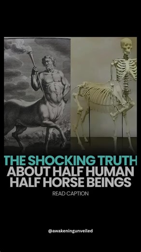 Half human half horse beings never walked the earth, for no trace of their remains has ever been found. Their truth lies not in history but in symbolism. Consciousness moves on two streams, the higher and the lower. One pulls you upward toward your divinity. The other drags you downward into desire. The horse represents the lower mind. It craves pleasure. It lusts for power, possessions, and status. It is restless, never satisfied, always hungry. It is the ego, thinking only of itself. And the m