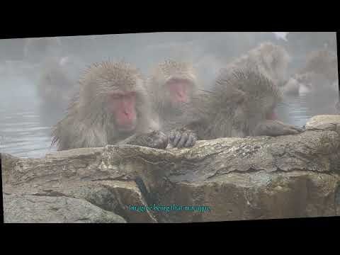 Are Your Friends Holding You Back The Hidden Struggles of Social Conformity Unveiled