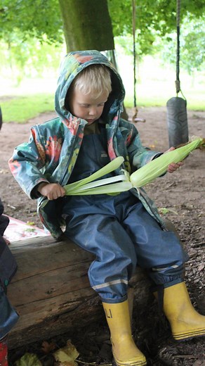 🌽 We’ve all heard of pass the parcel…but how about pass the corn? Our Butterflies had a brilliant time passing around a cob of corn, peeling back the husks to reveal the golden kernels inside. 💡This activity wasn’t just fun, it supported fine motor skills, hand-eye coordination, and concentration, while sparking curiosity about where food comes from. As the layers were peeled away, the children explored the structure of the corn and talked about its journey from plant to plate. #theashtonhouse