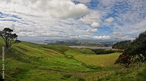 McGregor Bay and Coromandel Harbour from the Kauri Block Walk lookout, nestled in the native bush of the Coromandel Ranges. New Zealand