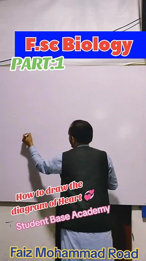 How to Draw the Human Heart Diagram for Biology