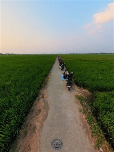Vt premium HD resolusi 4k 100fps, Spot ngopi sore sambil menikmati sunset . . . #spot #ngopi #sore #sunset #sawah #cibelok #wisatapemalang #explorepemalang #dronepemalang #pemalang #kabarpemalang #dji #drone #aerial #sinematik #avata360 #fyp