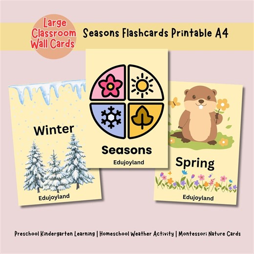 Seasons Flashcards Printable A4 Large Classroom Wall Cards Preschool Kindergarten Learning Homeschool Weather Activity | Montessori Nature - Etsy