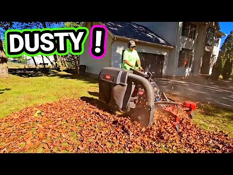 HOW TO DO A FALL CLEAN UP | START TO FINISH!
