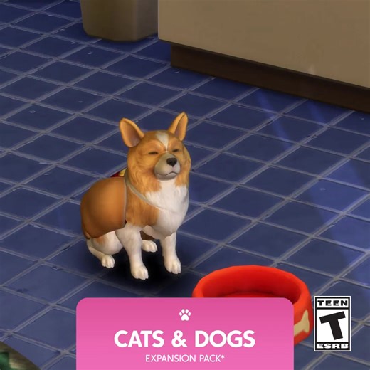 Live your veterinarian dreams and take care of furry friends! A life of walks, tricks, and cuddles is waiting. | The Sims
